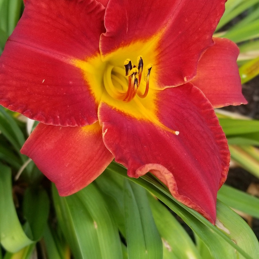 Meet your Posher, Angel